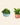 Trailing plants
