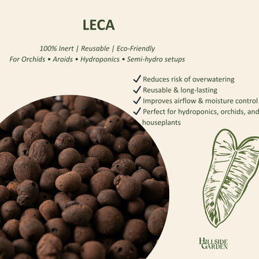 Leca Balls 8L