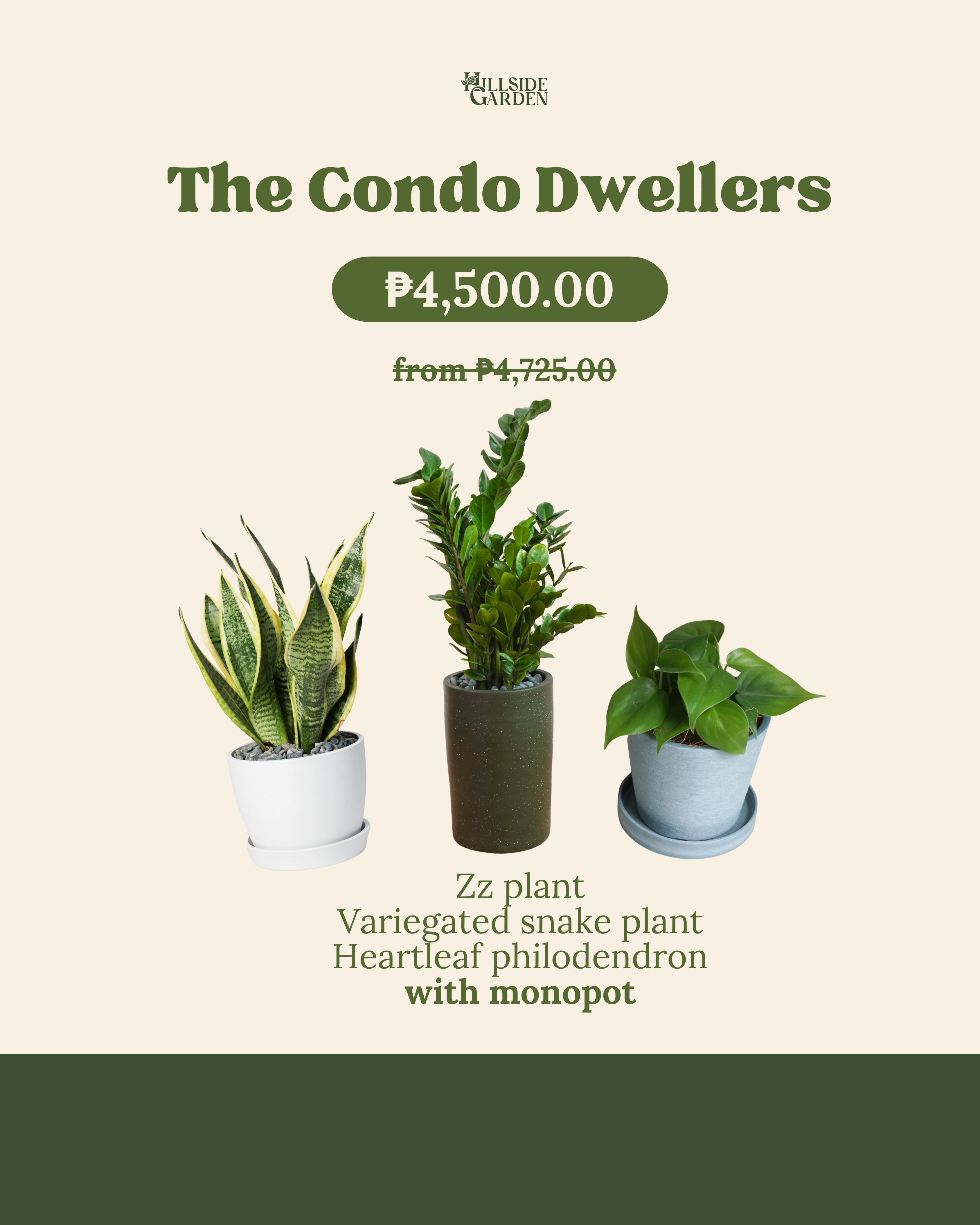 A closer look at Condo Dwellers With Pets
