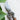 Pruning Shears