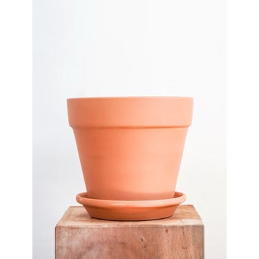 Sahara Pot (L)