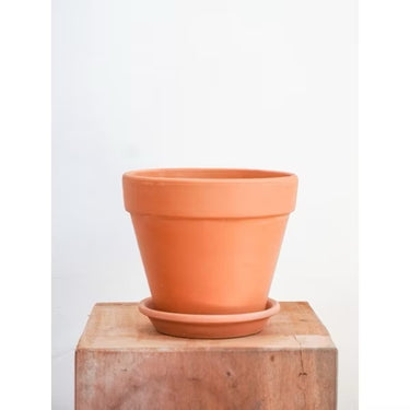 Sahara Pot (M)