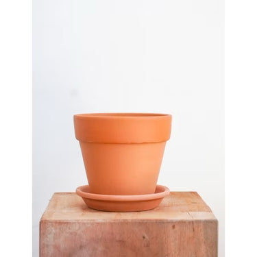 Sahara Pot (S)