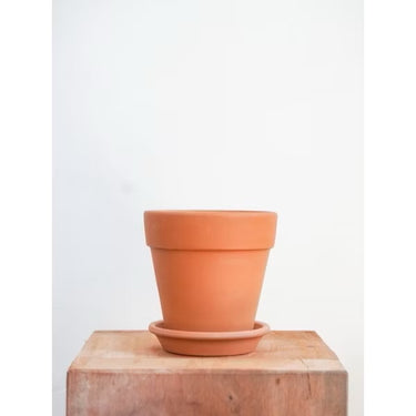 Sahara Pot (XS)