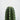 Peruvian Cactus (S)
