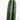Peruvian Cactus (S1)