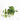 Heartleaf Philodendron (S)