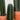 Peruvian Cactus (S)