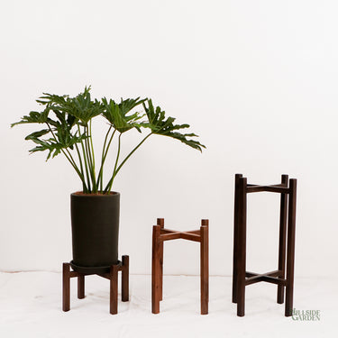 Ellie Plant Stand
