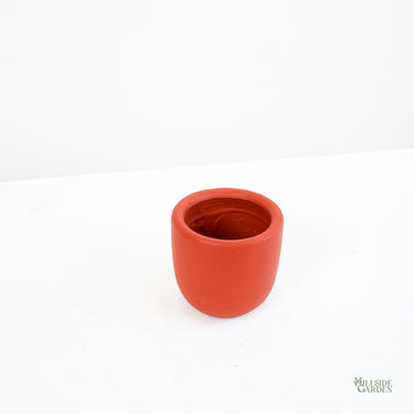 Lily (Clay Pot)
